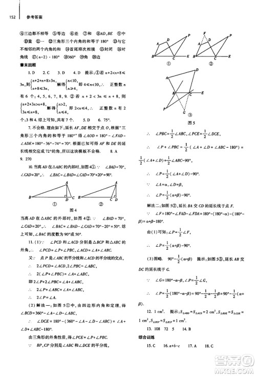 大象出版社2024秋初中同步练习册八年级数学上册人教版山东专版答案