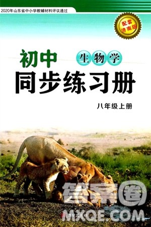 西安出版社2024秋初中同步练习册八年级生物上册济南版答案