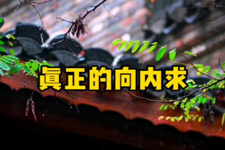 遇事向内求才能有所应材料作文800字 关于遇事向内求才能有所应的材料作文800字