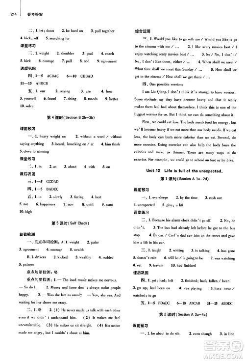 大象出版社2025秋初中同步练习册九年级英语全一册人教版山东专版答案