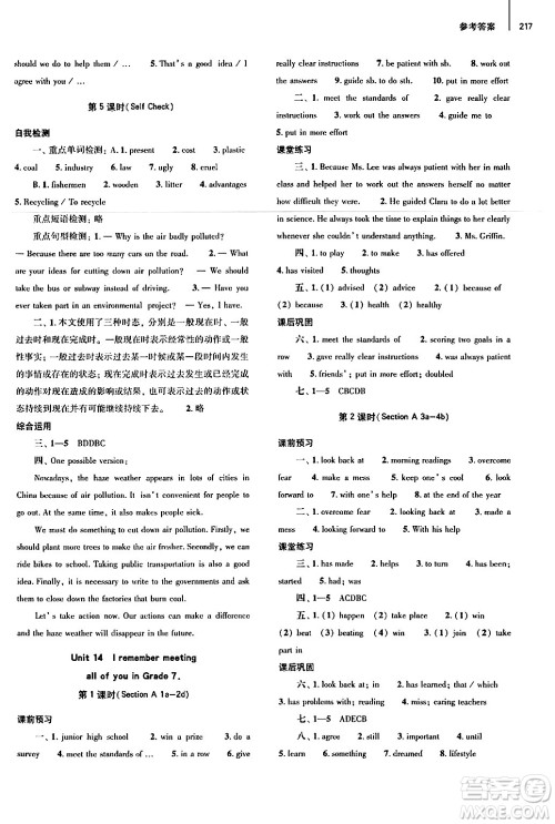 大象出版社2025秋初中同步练习册九年级英语全一册人教版山东专版答案