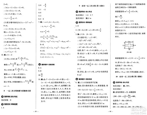 北京师范大学出版社2024秋初中同步练习册九年级数学上册北师大版答案