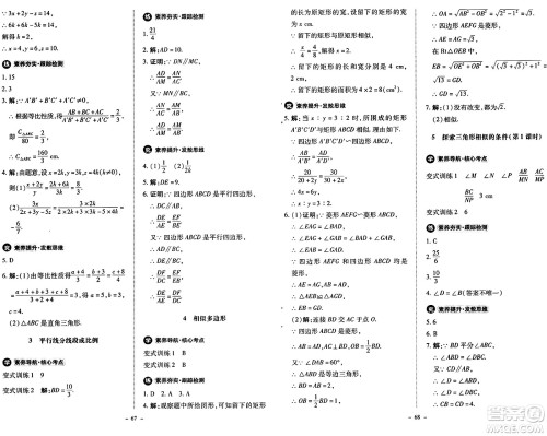 北京师范大学出版社2024秋初中同步练习册九年级数学上册北师大版答案