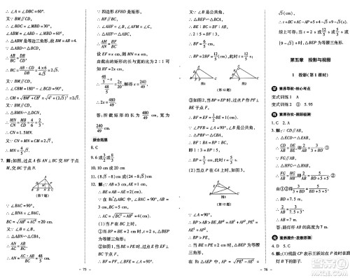 北京师范大学出版社2024秋初中同步练习册九年级数学上册北师大版答案