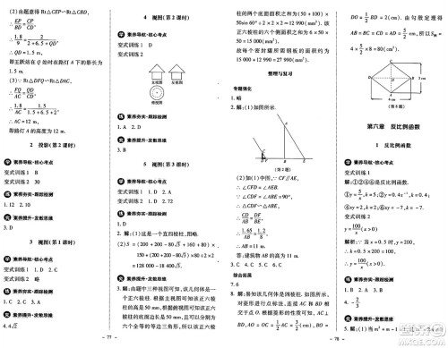 北京师范大学出版社2024秋初中同步练习册九年级数学上册北师大版答案