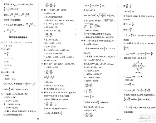 北京师范大学出版社2024秋初中同步练习册九年级数学上册北师大版答案