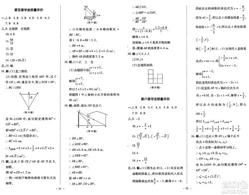 北京师范大学出版社2024秋初中同步练习册九年级数学上册北师大版答案