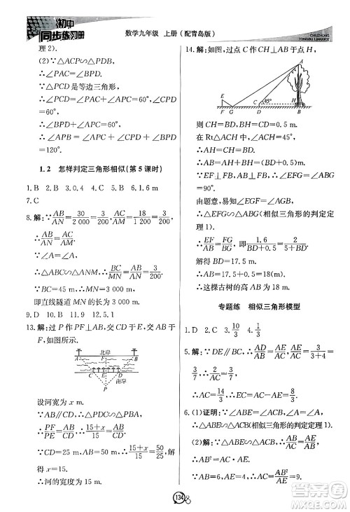 北京教育出版社2024秋初中同步练习册九年级数学上册青岛版答案