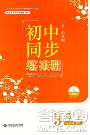 北京师范大学出版社2024秋初中同步练习册九年级数学上册鲁教版五四制答案