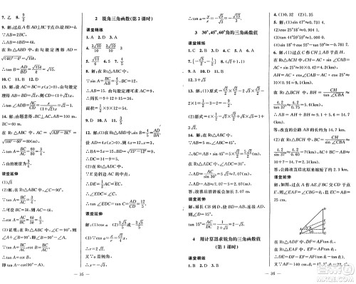 北京师范大学出版社2024秋初中同步练习册九年级数学上册鲁教版五四制答案