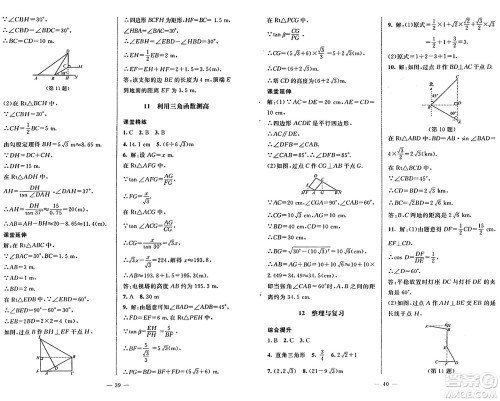 北京师范大学出版社2024秋初中同步练习册九年级数学上册鲁教版五四制答案