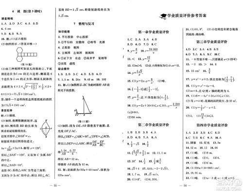 北京师范大学出版社2024秋初中同步练习册九年级数学上册鲁教版五四制答案