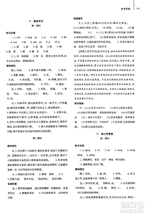 大象出版社2024秋初中同步练习册九年级语文上册人教版山东专版答案