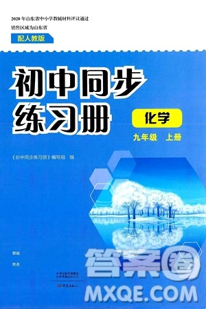大象出版社2024秋初中同步练习册九年级化学上册人教版山东专版答案 大象出版社2024秋初中同步练习册九年级化学上册人教版山东专版答案
