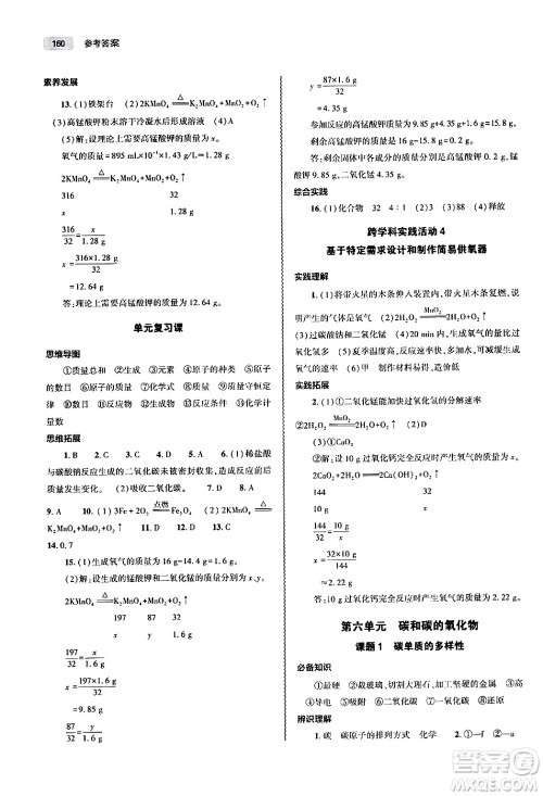 大象出版社2024秋初中同步练习册九年级化学上册人教版山东专版答案