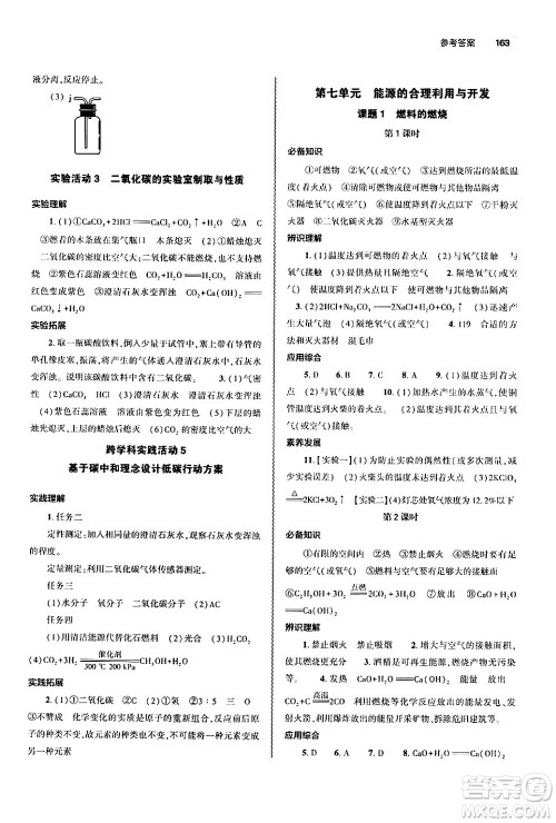 大象出版社2024秋初中同步练习册九年级化学上册人教版山东专版答案