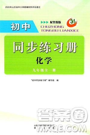 明天出版社2024秋初中同步练习册九年级化学上册鲁教版五四制答案