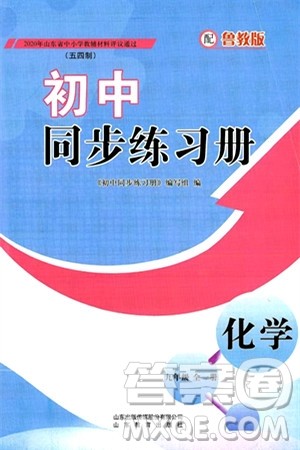 山东教育出版社2024秋初中同步练习册九年级化学上册鲁教版五四制答案