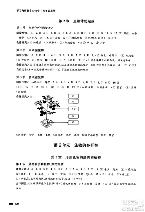 江苏凤凰教育出版社2024年秋学习与评价七年级生物上册苏科版答案