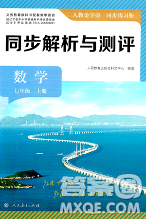 人民教育出版社2024年秋人教金学典同步练习册同步解析与测评七年级数学上册人教版答案