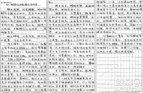 骏马能历险力田不如牛坚车能载重渡河不如舟材料作文800字