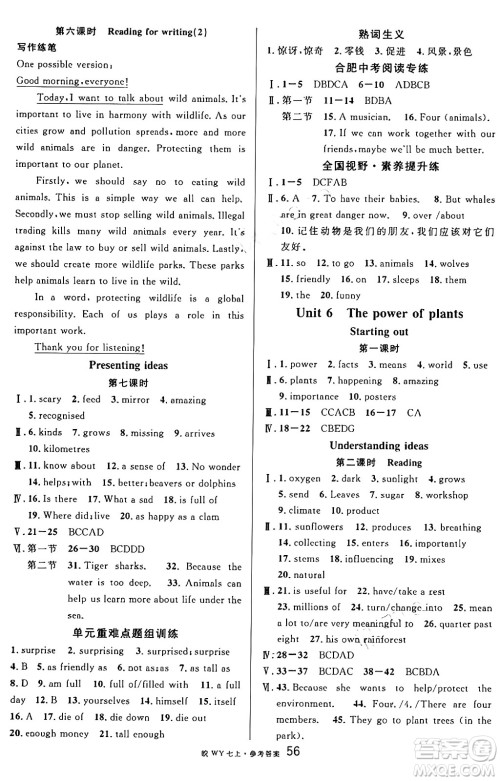 安徽师范大学出版社2024年秋名校课堂七年级英语上册人教版合肥专版答案