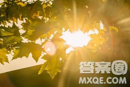 一个小缝隙可能隐藏着危机材料作文800字