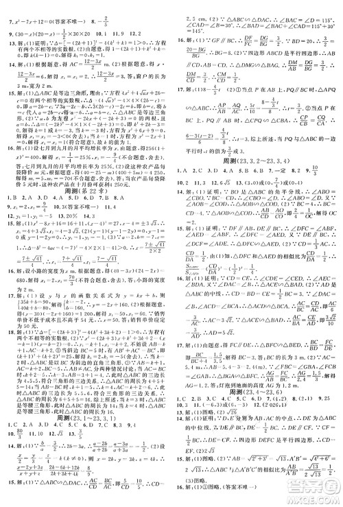 广东经济出版社2024年秋名校课堂九年级数学上册华师版答案