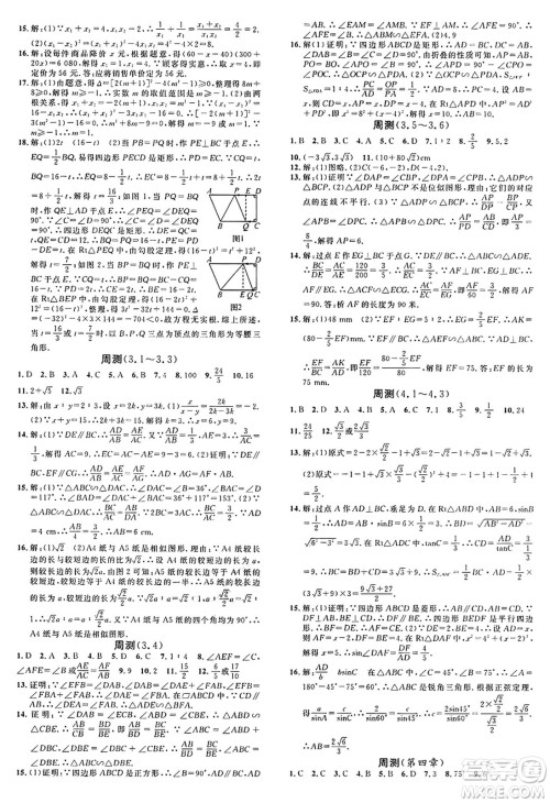 广东经济出版社2024年秋名校课堂九年级数学上册湘教版答案 广东经济出版社2024年秋名校课堂九年级数学上册湘教版答案