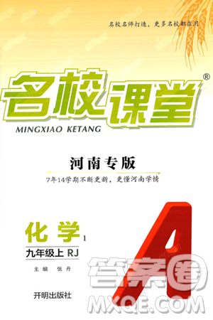 开明出版社2024年秋名校课堂九年级化学上册人教版河南专版答案
