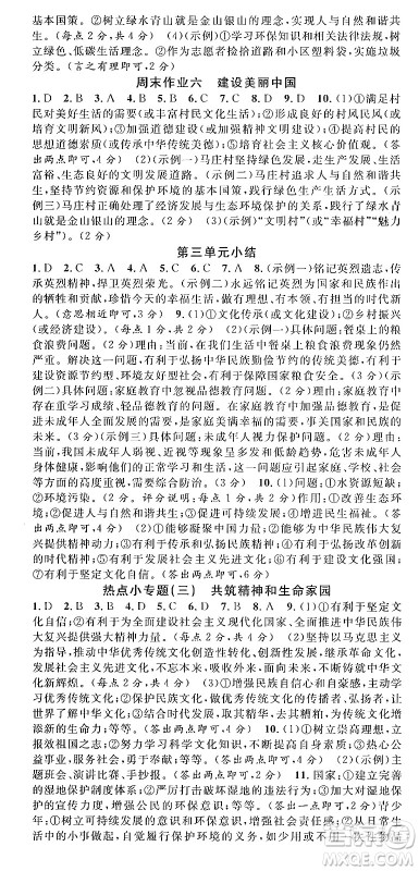 安徽师范大学出版社2024年秋名校课堂九年级道德与法治上册人教版河北专版答案