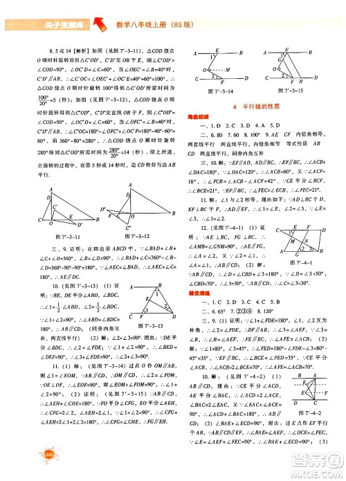 辽宁教育出版社2024年秋尖子生题库八年级数学上册北师大版答案