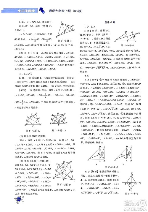 辽宁教育出版社2024年秋尖子生题库九年级数学上册北师大版答案