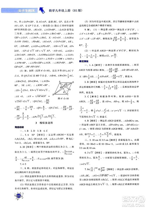 辽宁教育出版社2024年秋尖子生题库九年级数学上册北师大版答案