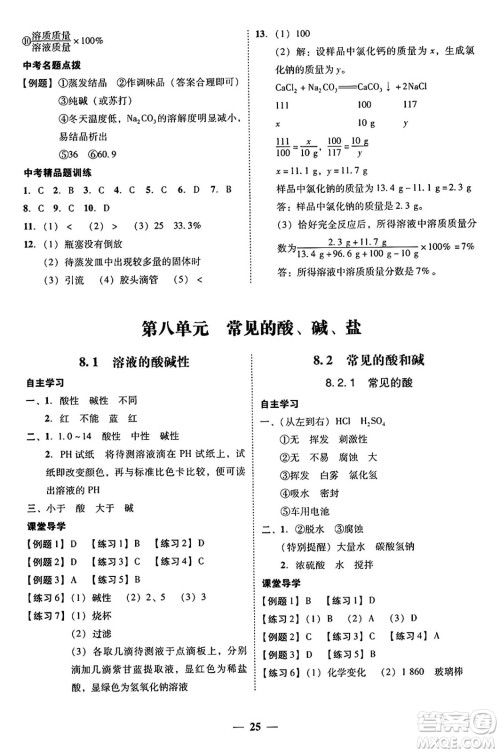 广东教育出版社2025年秋南粤学典学考精练九年级化学全一册科粤版答案