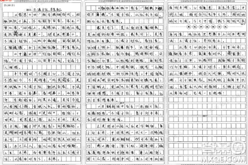 运动员赛后数千张照片表情材料作文800字 关于运动员赛后数千张照片表情的材料作文800字