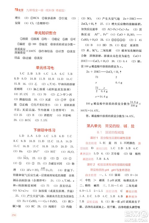 广西教育出版社2025年秋自主学习能力测评九年级化学全一册科粤版答案