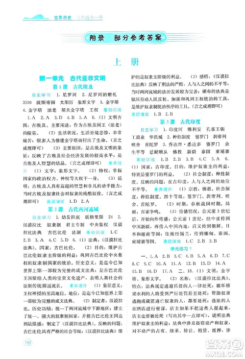 广西教育出版社2025年秋自主学习能力测评九年级世界历史全一册人教版答案