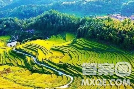 最可怕的是一天到晚什么都不做把一切留给明天材料作文800字 最可怕的是一天到晚什么都不做把一切留给明天材料作文800字