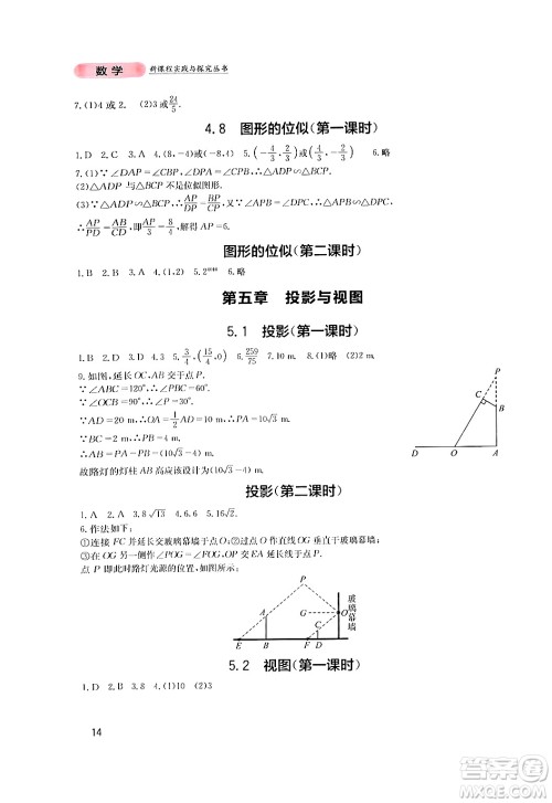 四川教育出版社2024年秋新课程实践与探究丛书九年级数学上册北师大版答案 四川教育出版社2024年秋新课程实践与探究丛书九年级数学上册北师大版答案
