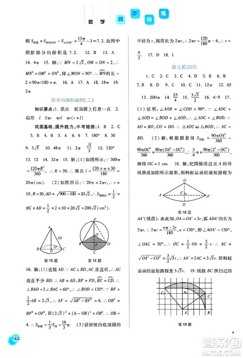 河北人民出版社2024年秋同步训练九年级数学上册人教版答案