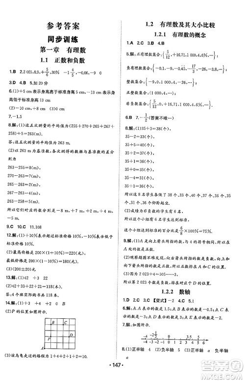 湖南教育出版社2024年秋一本同步训练七年级数学上册人教版答案