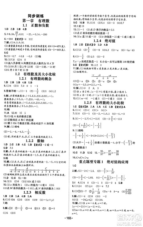 湖南教育出版社2024年秋一本同步训练七年级数学上册人教版重庆专版答案