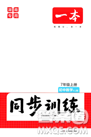 湖南教育出版社2024年秋一本同步训练七年级数学上册湘教版答案