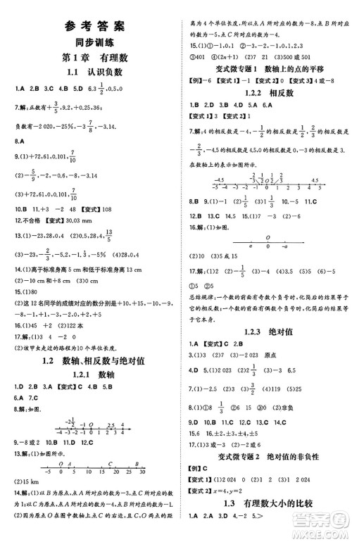 湖南教育出版社2024年秋一本同步训练七年级数学上册湘教版答案