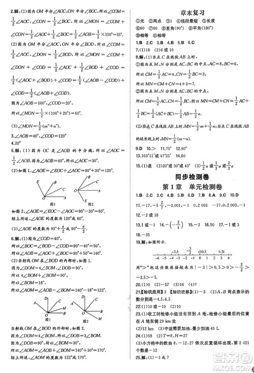 湖南教育出版社2024年秋一本同步训练七年级数学上册湘教版答案