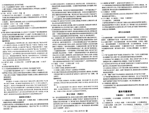 湖南教育出版社2024年秋一本同步训练七年级语文上册人教版答案 湖南教育出版社2024年秋一本同步训练七年级语文上册人教版答案