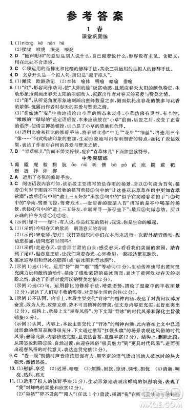 湖南教育出版社2024年秋一本同步训练七年级语文上册人教版重庆专版答案