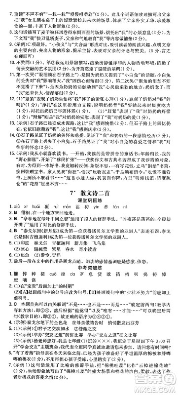 湖南教育出版社2024年秋一本同步训练七年级语文上册人教版重庆专版答案