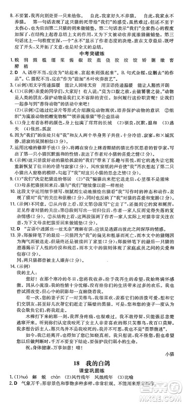 湖南教育出版社2024年秋一本同步训练七年级语文上册人教版重庆专版答案